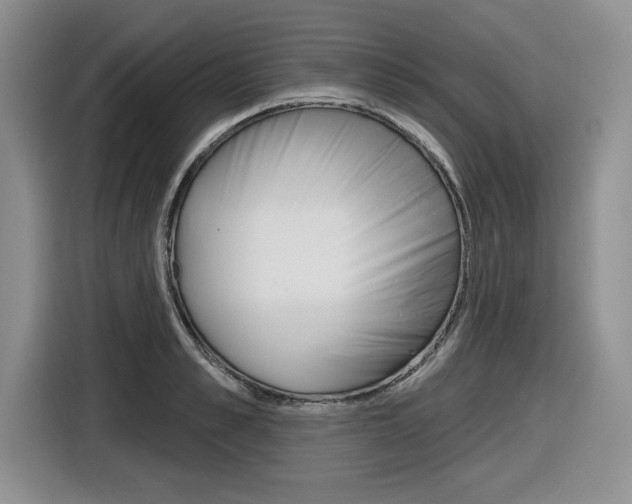 X0000116630989200912110957