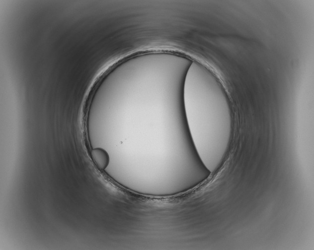 X0000116630990200912110957