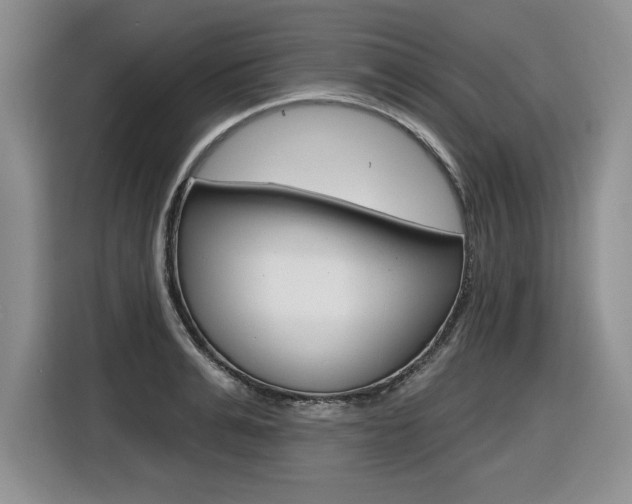 X0000116630991200912110957