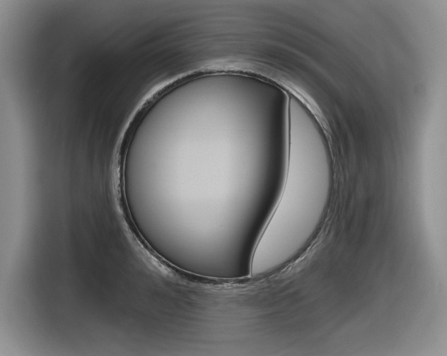 X0000116630992200912110957