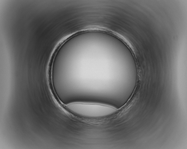 X0000116630995200912110957