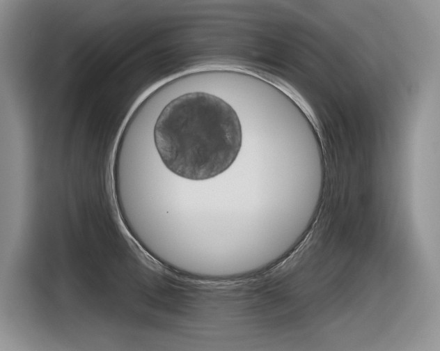X0000116630996200912110957