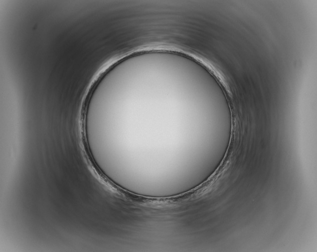 X0000116630998200912110957