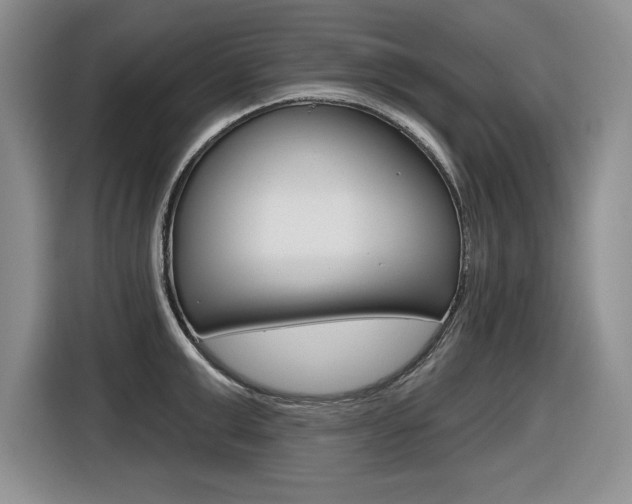 X0000116630999200912110957