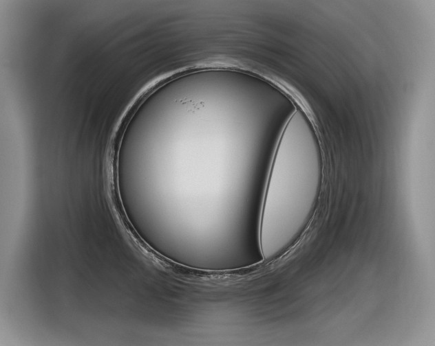 X0000116631000200912110957