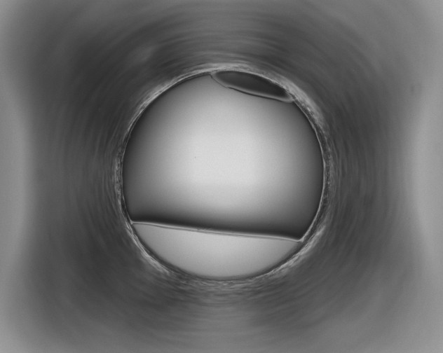 X0000116631001200912110957