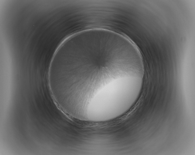X0000116631002200912110957