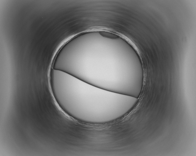 X0000116631003200912110957