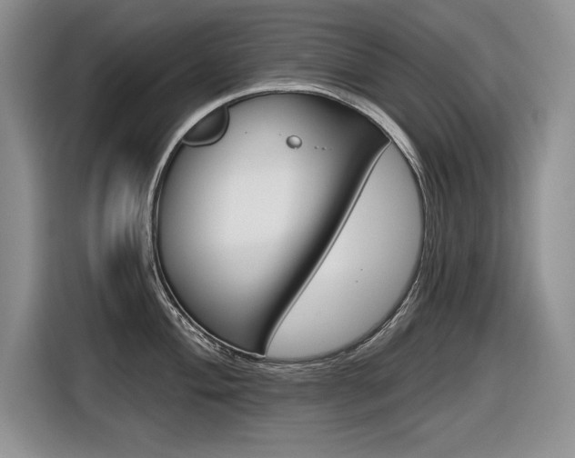 X0000116631004200912110957