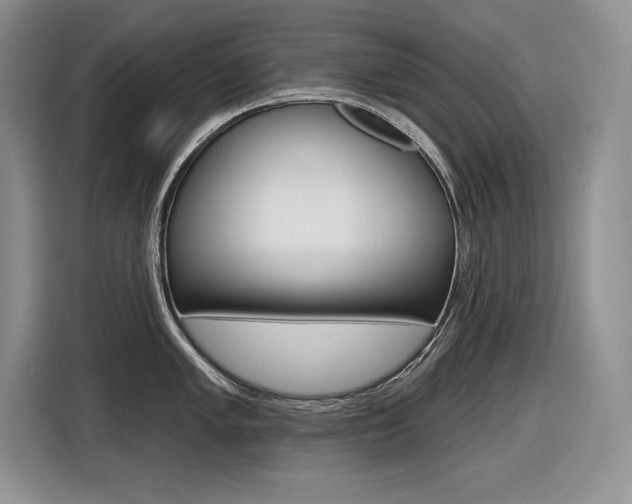 X0000116631005200912110957