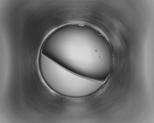 X0000116631007200912110957