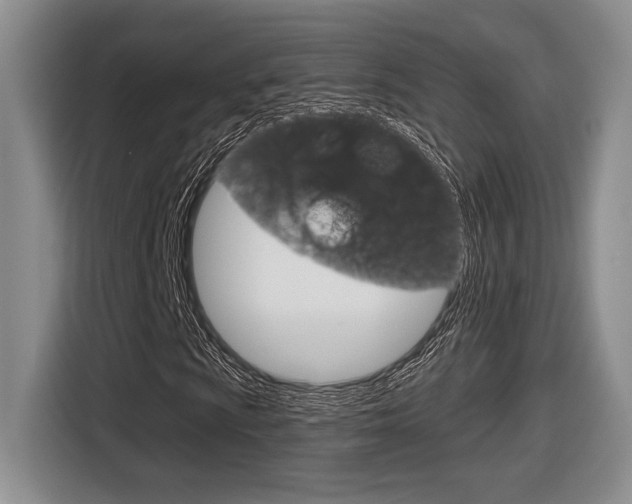 X0000116631009200912110956