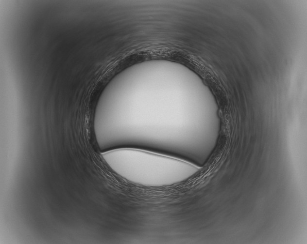 X0000116631010200912110956
