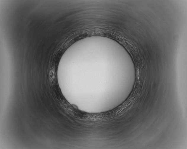 X0000116631011200912110956