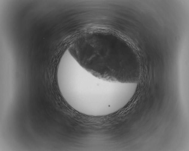 X0000116631013200912110956