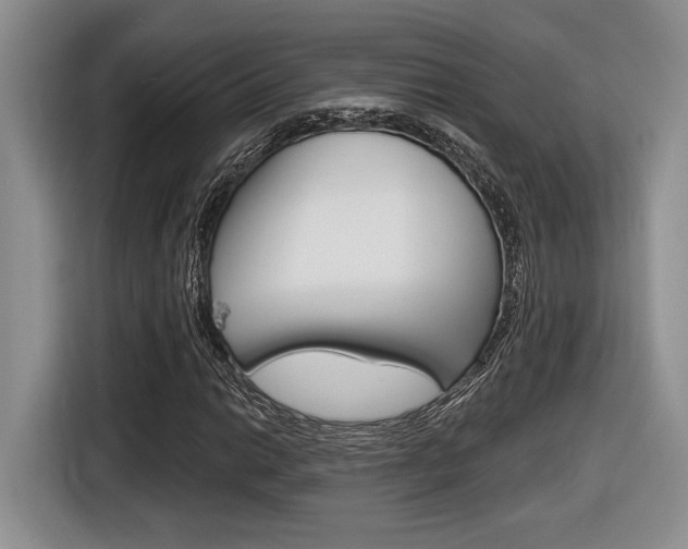 X0000116631014200912110956