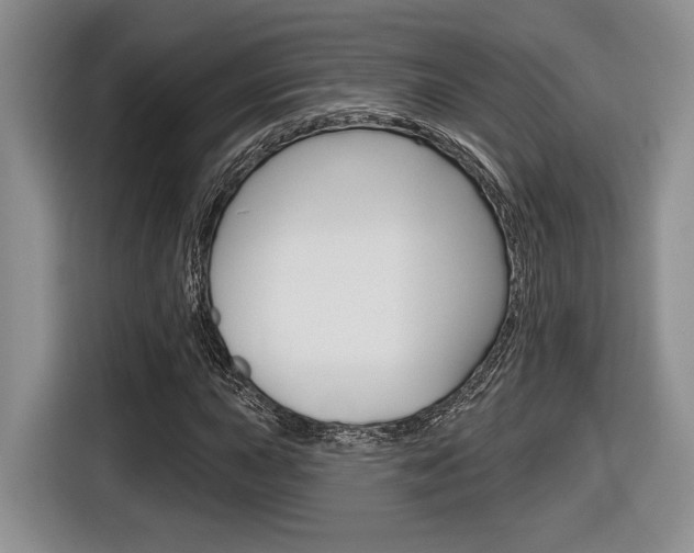 X0000116631015200912110956