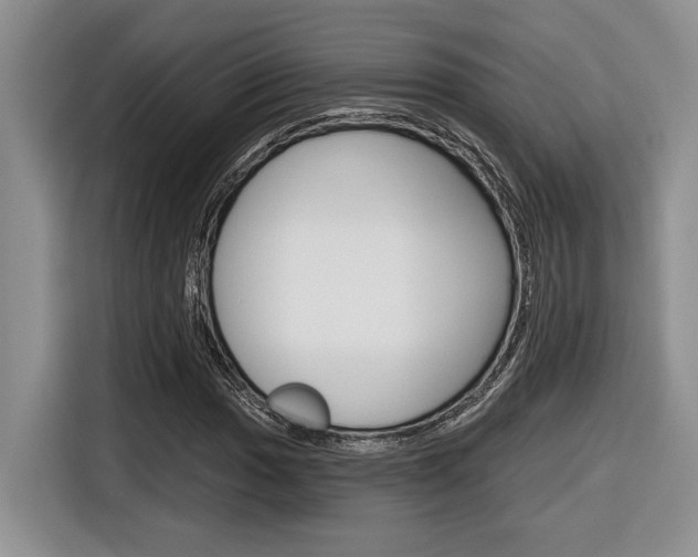X0000116631017200912110956