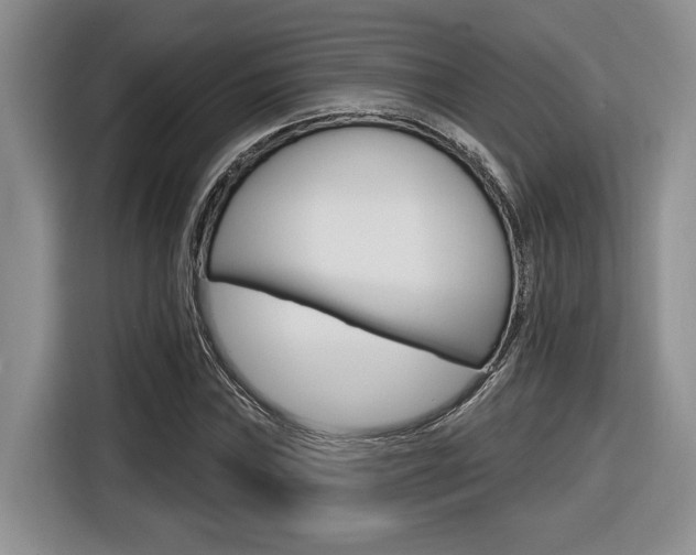 X0000116631019200912110956