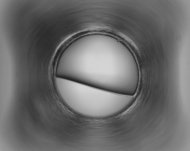 X0000116631021200912110956