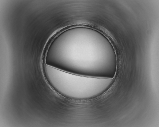 X0000116631024200912110956