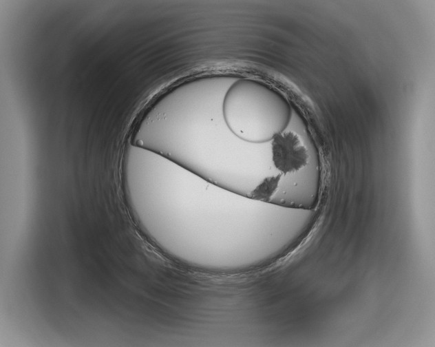X0000116631025200912110956