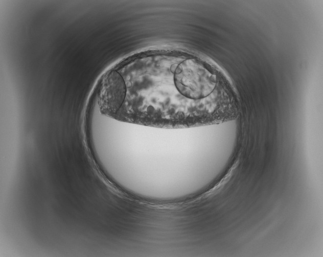 X0000116631029200912110956