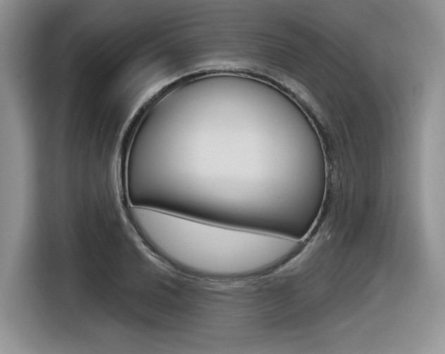 X0000116631030200912110956