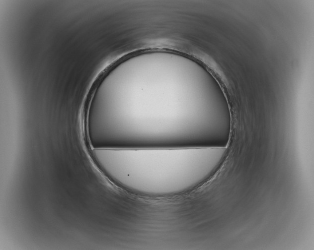 X0000116631032200912110957