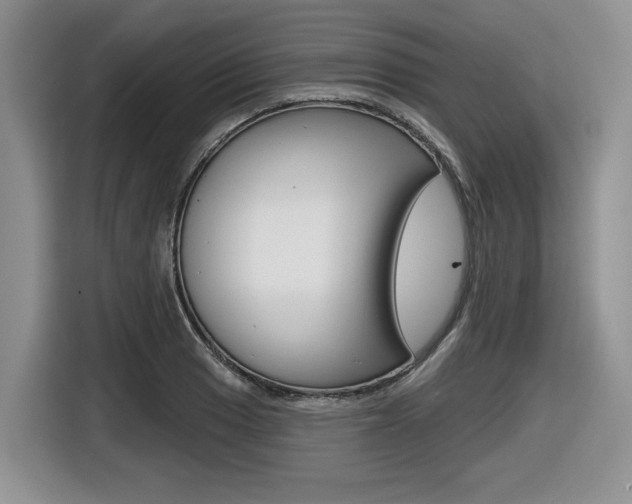 X0000116631033200912110957