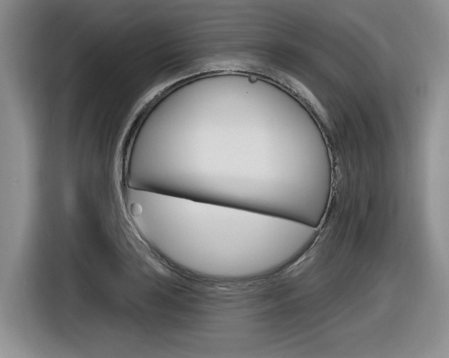 X0000116631035200912110957