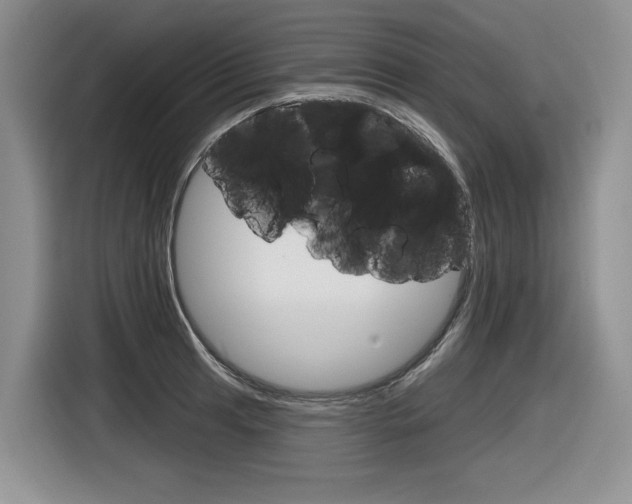 X0000116631041200912110957