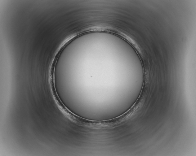 X0000116631042200912110957
