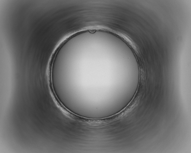 X0000116631046200912110957