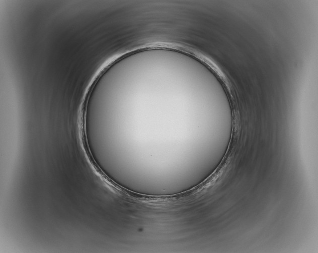 X0000116631048200912110957