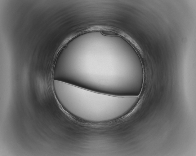 X0000116631049200912110957