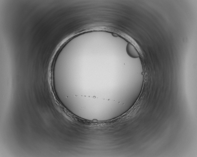 X0000116631051200912110957