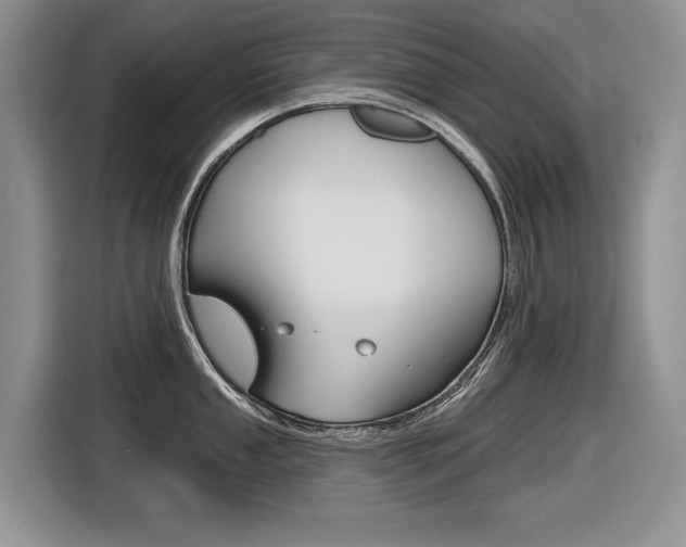 X0000116631053200912110957