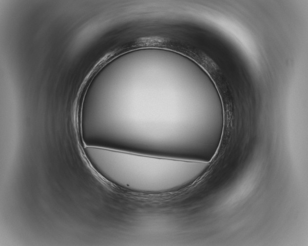 X0000116631054200912110957