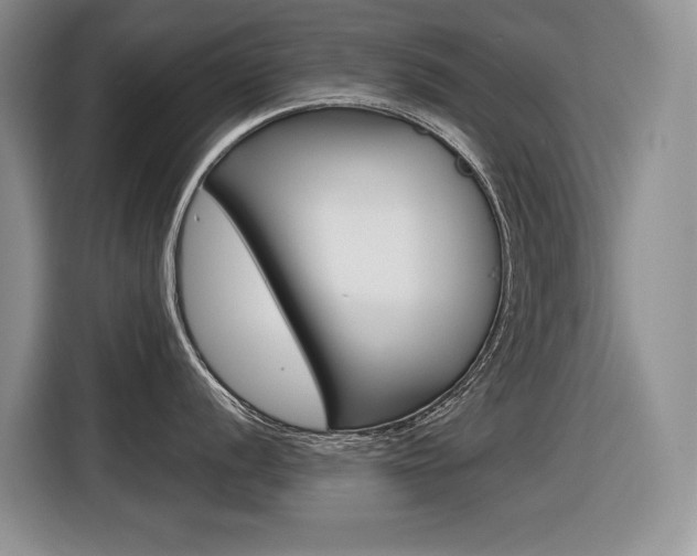 X0000116631056200912110957