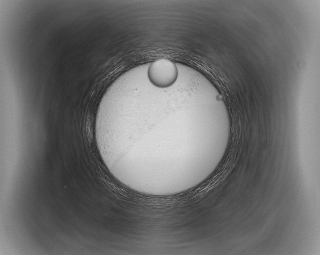 X0000116631058200912110956
