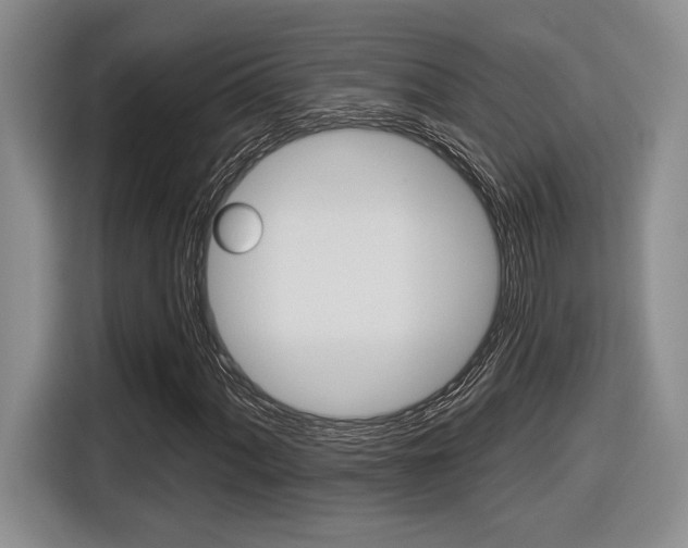 X0000116631060200912110956