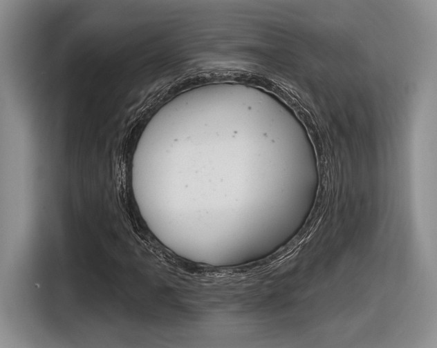 X0000116631061200912110956
