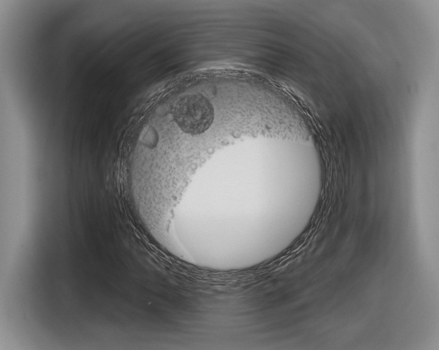 X0000116631062200912110956
