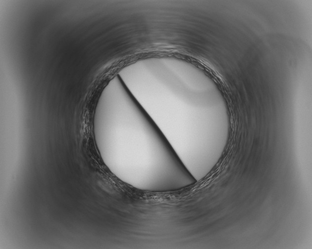 X0000116631063200912110956