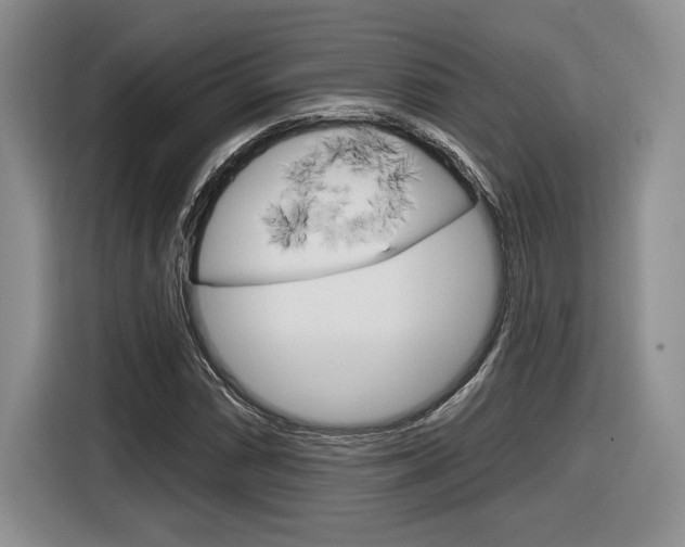 X0000116631066200912110956