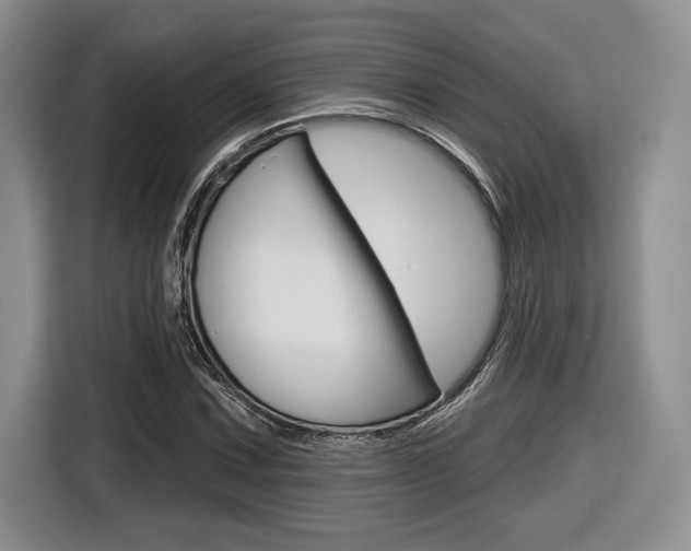X0000116631067200912110956