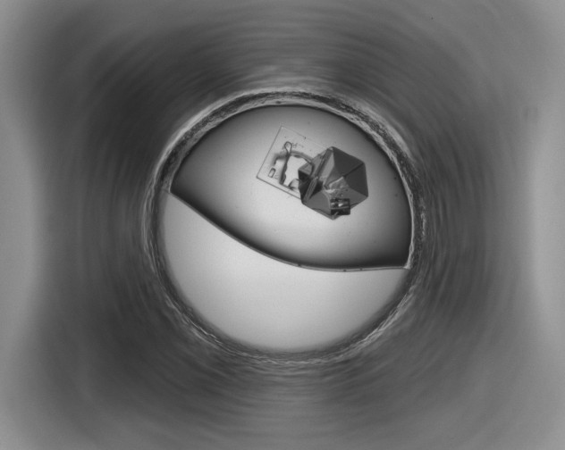 X0000116631069200912110956