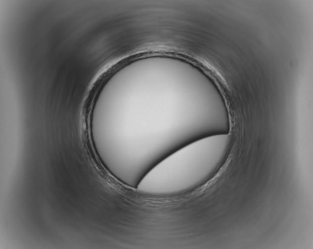 X0000116631070200912110956