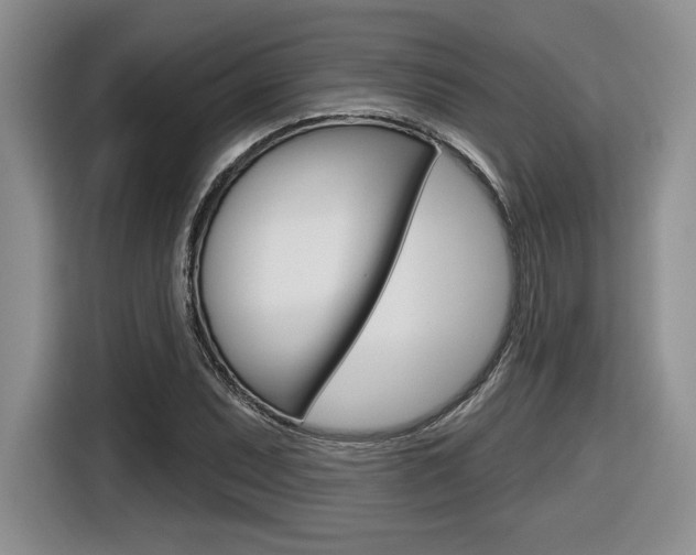 X0000116631071200912110956